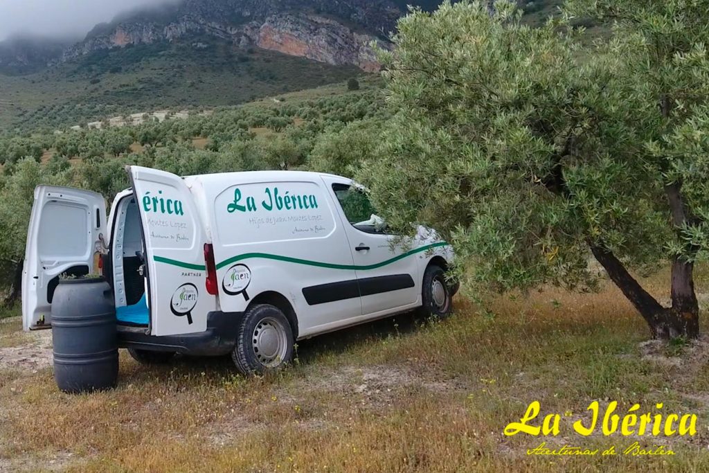 la iberica empresa tomillo